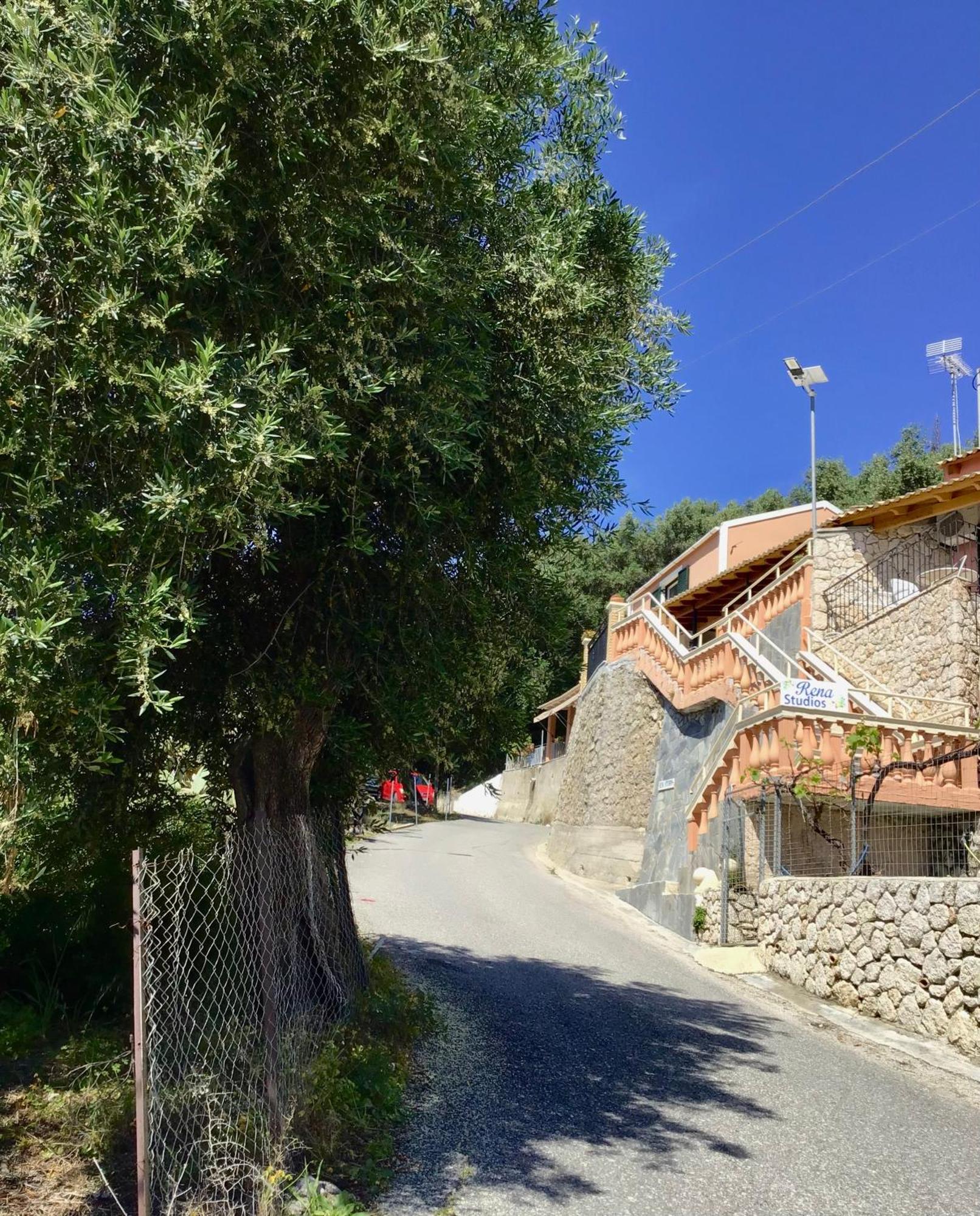 Rena Studios Paleokastritsa Luaran gambar